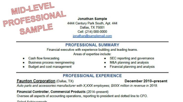 mid level professional resume sample